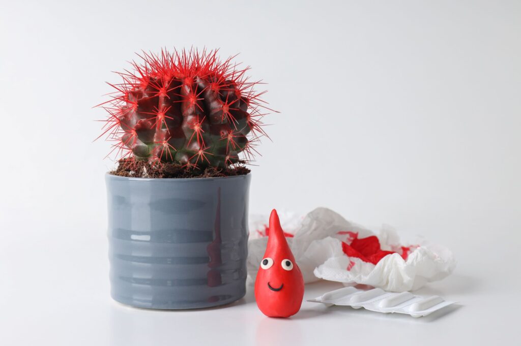 αιμορροΐδες αίμα